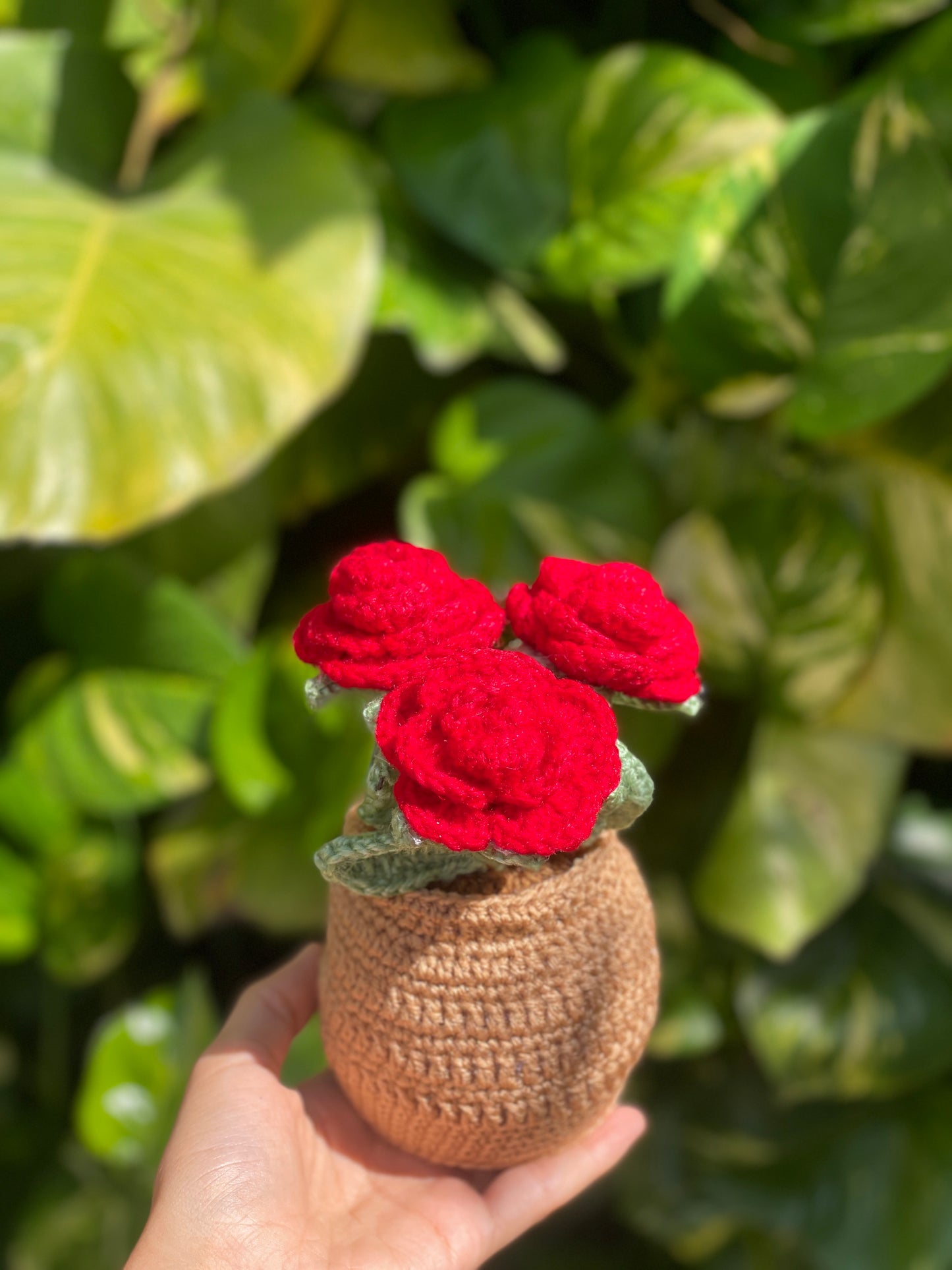 Rose pot