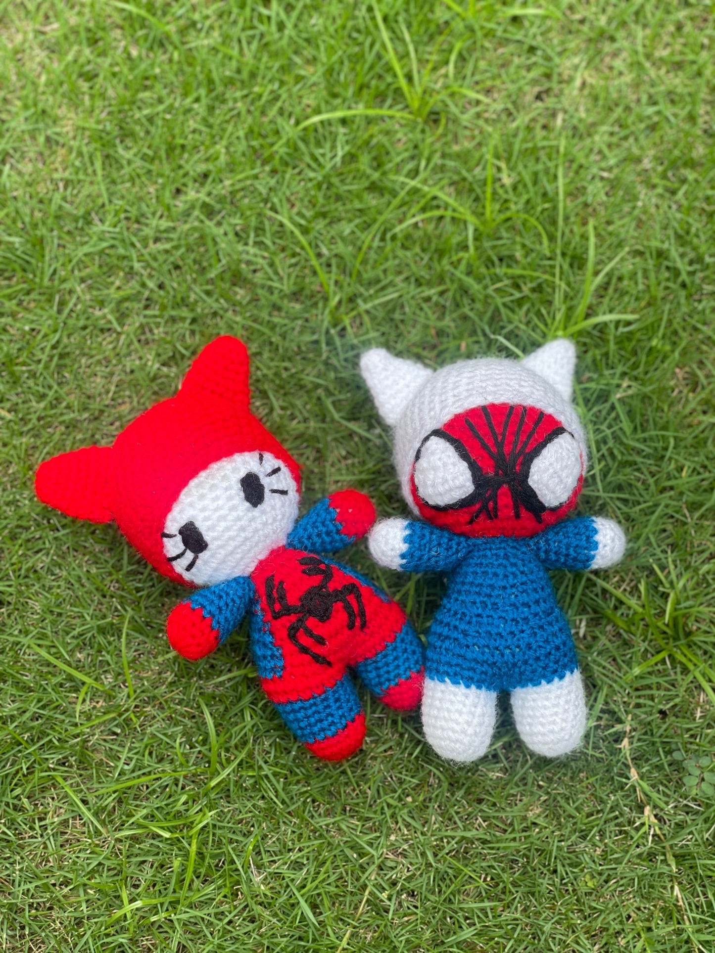 Spiderman & Kitty