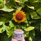 Sunflower Pot