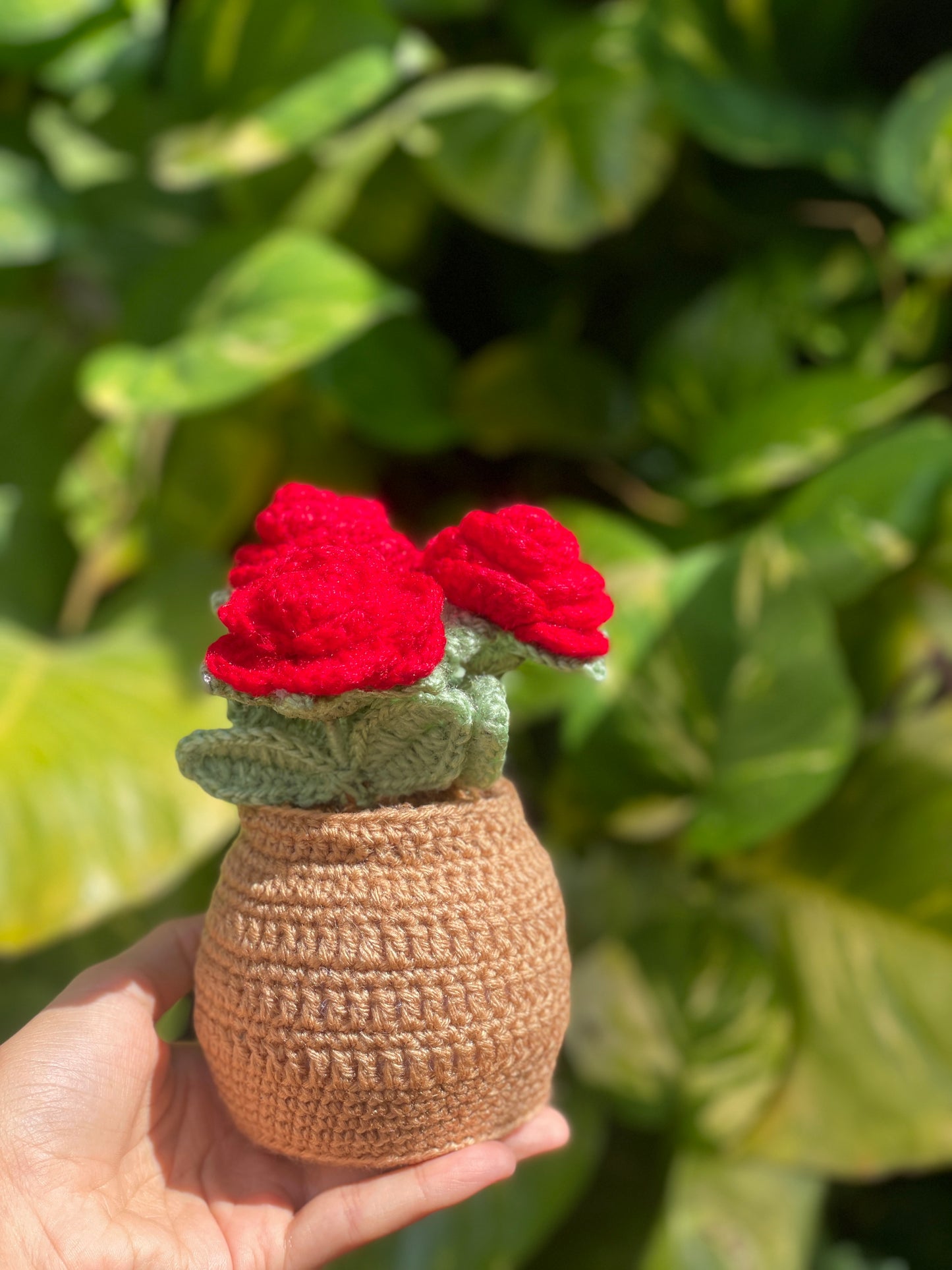 Rose pot