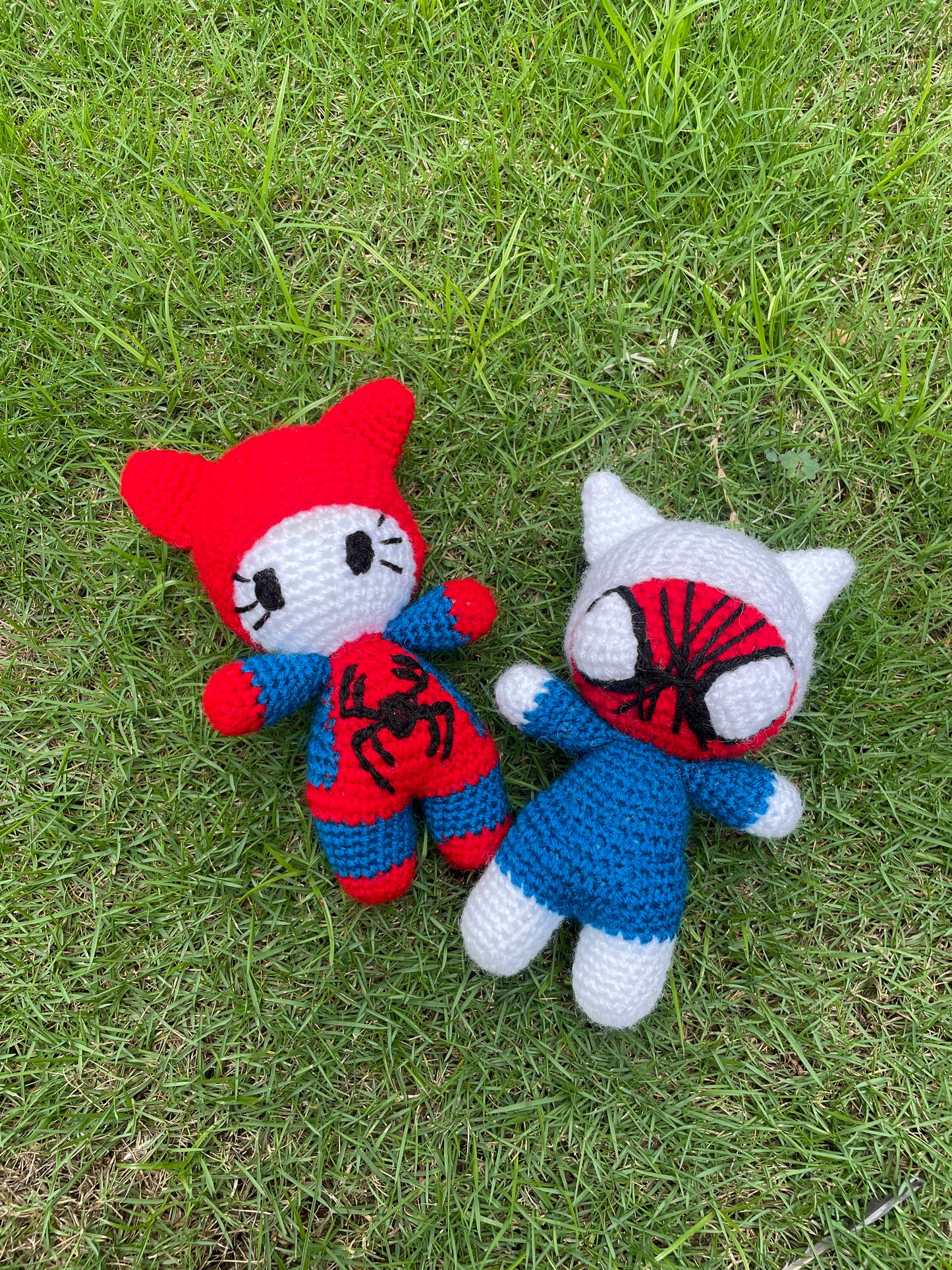 Spiderman & Kitty